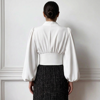 Women's V-Neck Lantern-Sleeve Cropped Blouse