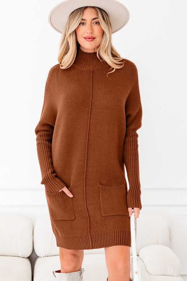KaleaBoutique Stylish Ribbed High Neck Front Pockets Center Seam Shift Sweater Dress - KaleaBoutique.com