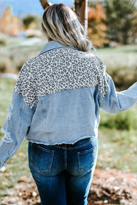 Blue Plus Size Leopard Ripped Cropped Denim Jacket - KaleaBoutique.com