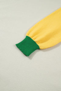 Colorblock Patchwork Fuzzy Mardi Gras Graphic Sweater - KaleaBoutique.com