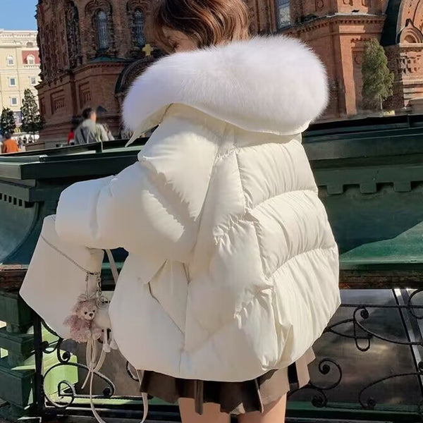 KaleaBoutique Short Padded Jacket with Fur Collar - KaleaBoutique.com