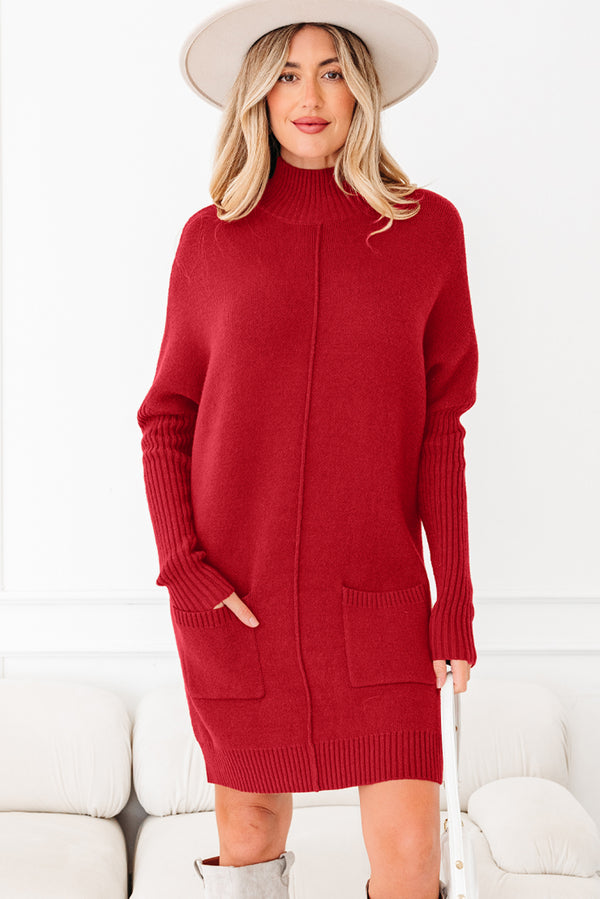 KaleaBoutique Stylish Ribbed High Neck Front Pockets Center Seam Shift Sweater Dress - KaleaBoutique.com