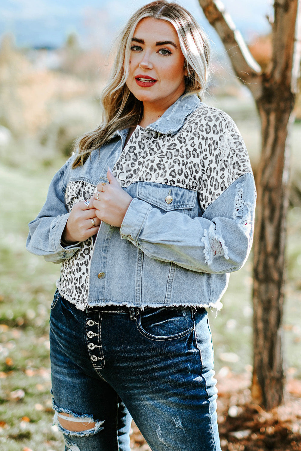 Blue Plus Size Leopard Ripped Cropped Denim Jacket - KaleaBoutique.com