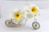 3 PC Double Layer Plumeria Hair Clip Set, White Hawaii Flower Hairclips, Floral Beach Hairpin Headpiece - KaleaBoutique.com