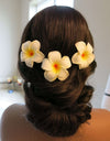 3 PC Double Layer Plumeria Hair Clip Set, White Hawaii Flower Hairclips, Floral Beach Hairpin Headpiece - KaleaBoutique.com