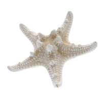 Natural Starfish 2 PC Alligator Hairclip Set, Tropical Wedding Starfish Hairpiece, Hawaii Seashell Star Hairclips, Mermaid Cosplay Headpiece - KaleaBoutique.com