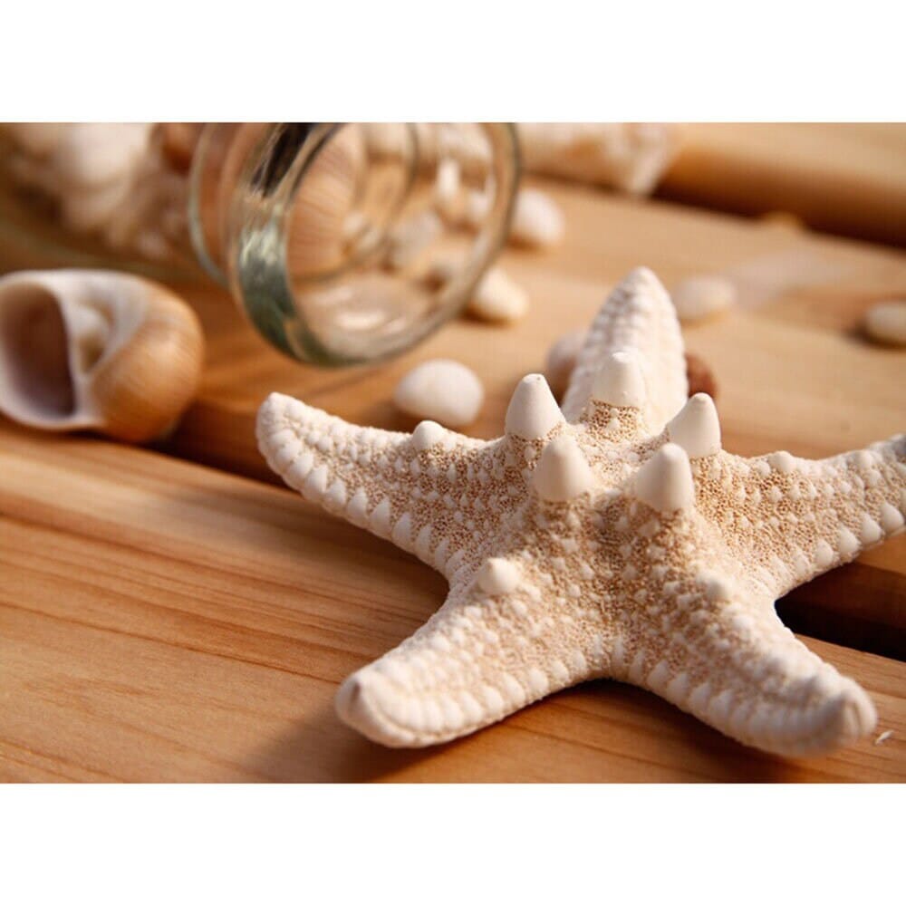 Natural Starfish 2 PC Alligator Hairclip Set, Tropical Wedding Starfish Hairpiece, Hawaii Seashell Star Hairclips, Mermaid Cosplay Headpiece - KaleaBoutique.com